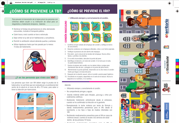 Vista previa del anexo de experiencias exitosas