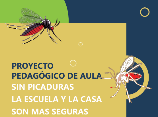 Vista previa del anexo de experiencias exitosas