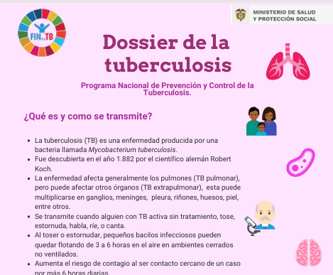 Vista previa del anexo de experiencias exitosas