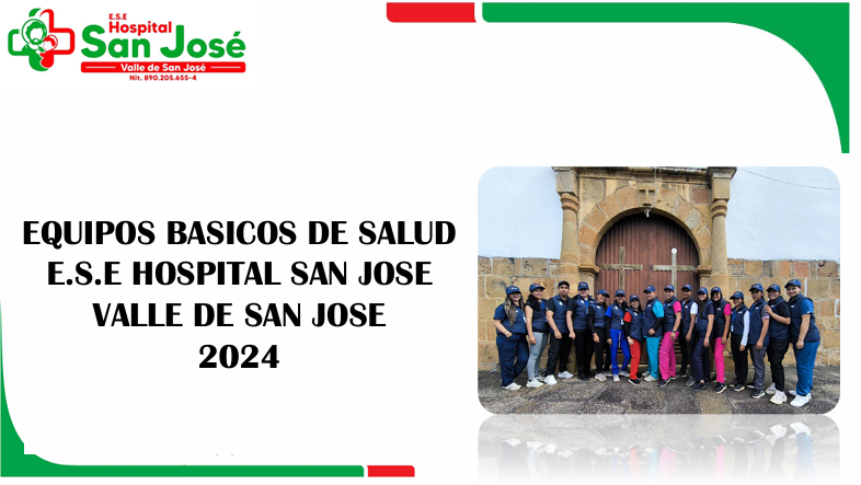 Vista previa del anexo de experiencias exitosas