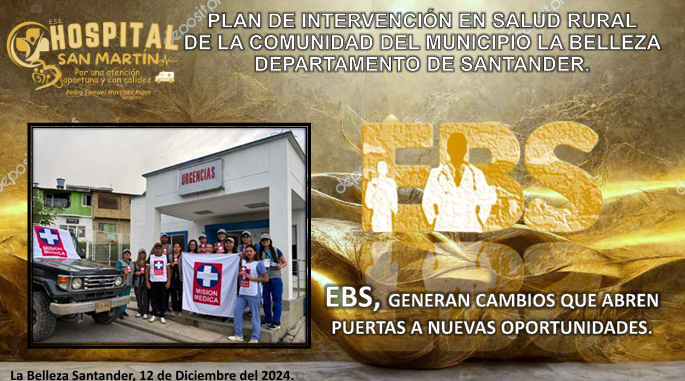 Vista previa del anexo de experiencias exitosas