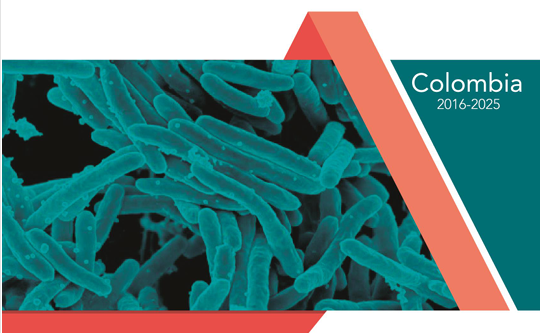 Vista previa del anexo de experiencias exitosas