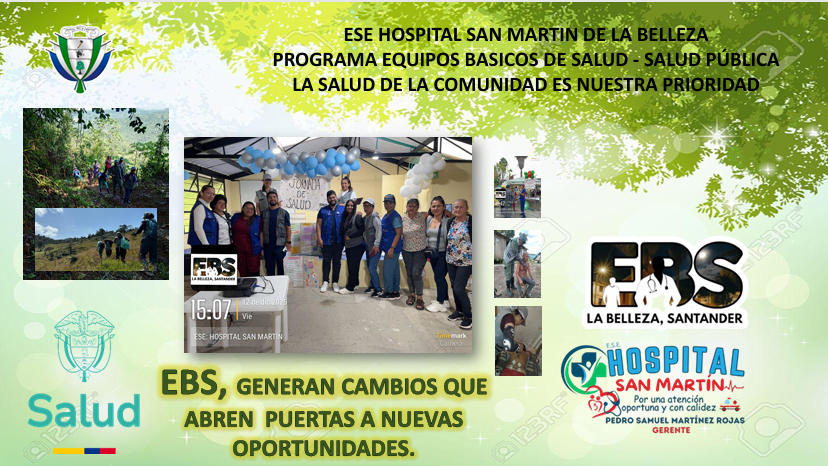 Vista previa del anexo de experiencias exitosas