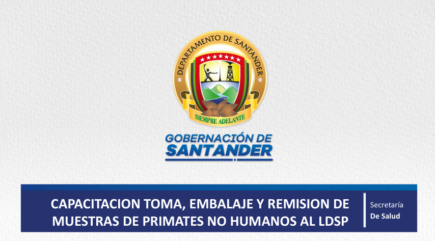 Vista previa del anexo de experiencias exitosas