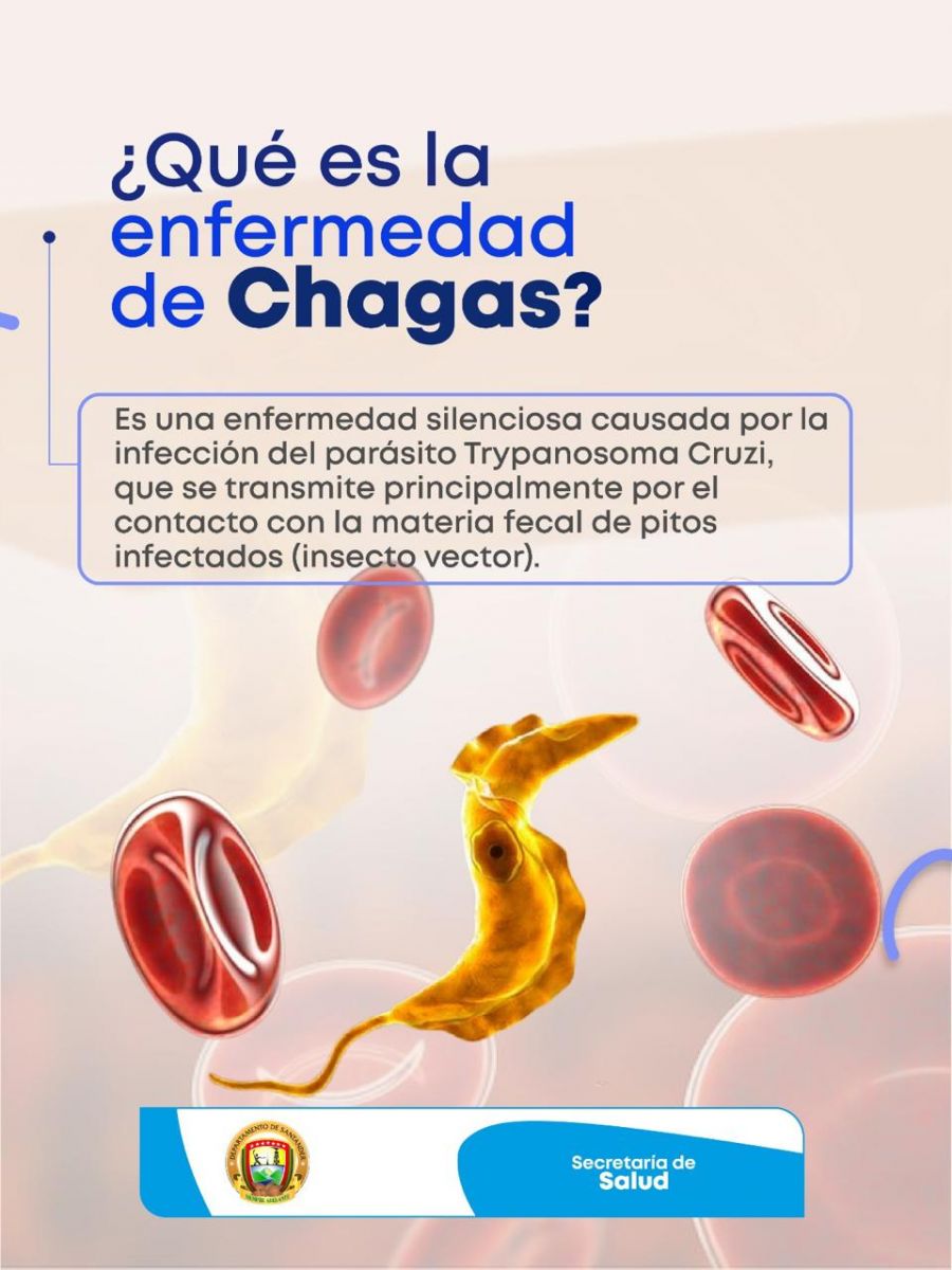 DIA CHAGAS