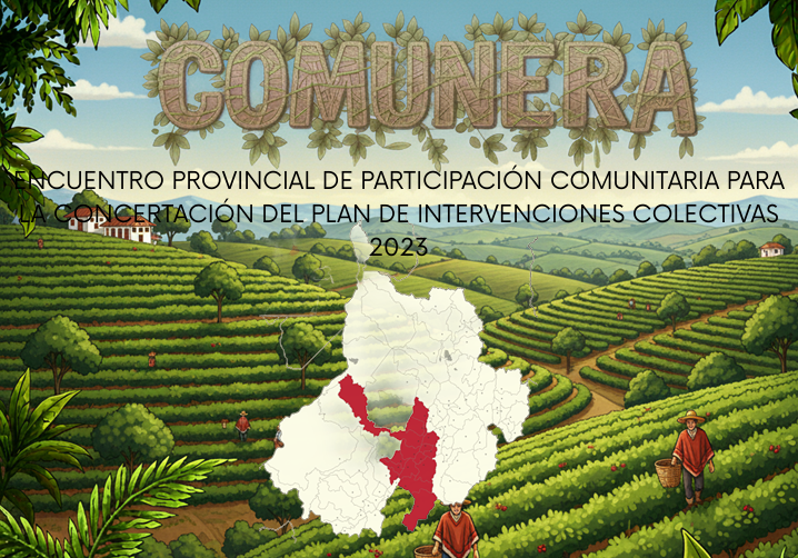 Vista previa del anexo de experiencias exitosas