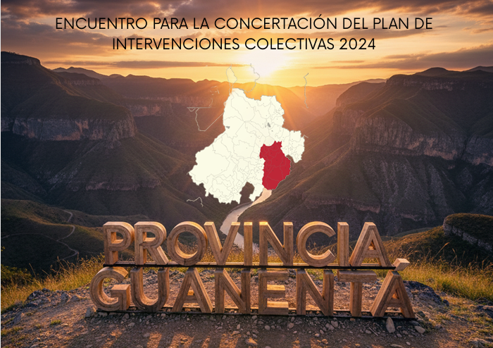 Vista previa del anexo de experiencias exitosas