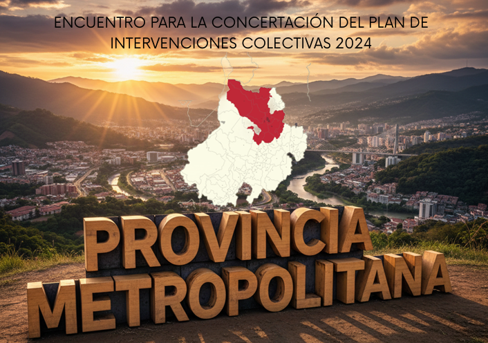 Vista previa del anexo de experiencias exitosas