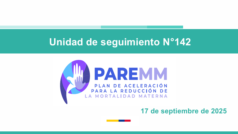 Vista previa del anexo de esperiencias exitosas