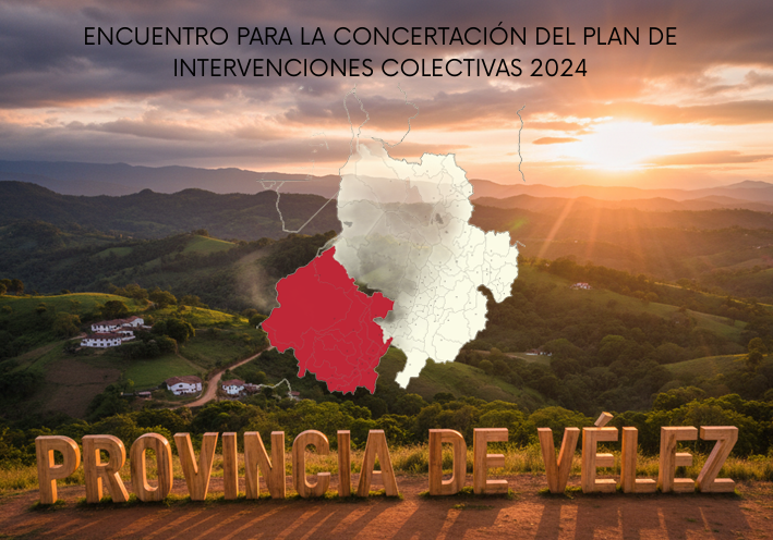 Vista previa del anexo de experiencias exitosas