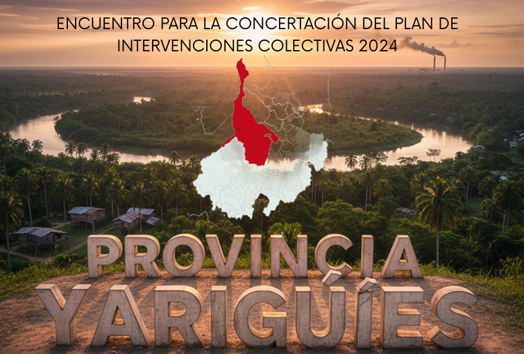 Vista previa del anexo de experiencias exitosas